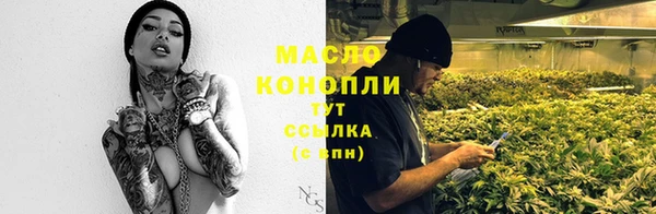 2c-b Горно-Алтайск