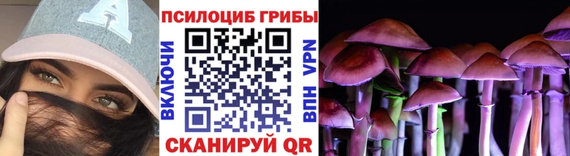 где купить наркоту  Мезень  Галлюциногенные грибы Magic Shrooms 